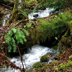 Meet your Posher, Roberta